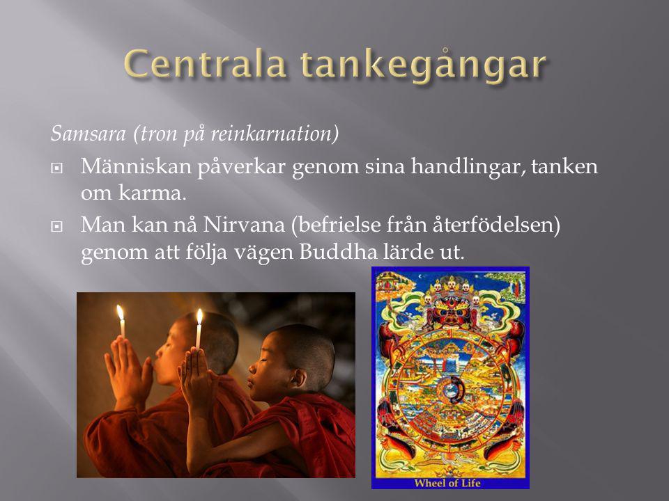 Centrala tankegångar Samsara (tron på reinkarnation)
