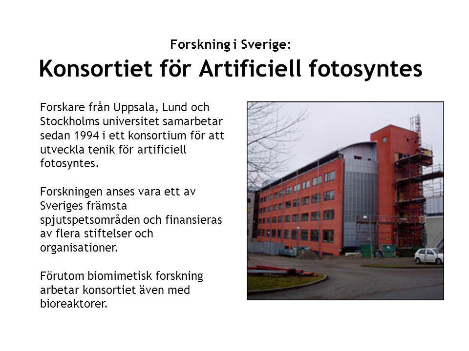 Forskning i Sverige: Konsortiet för Artificiell fotosyntes