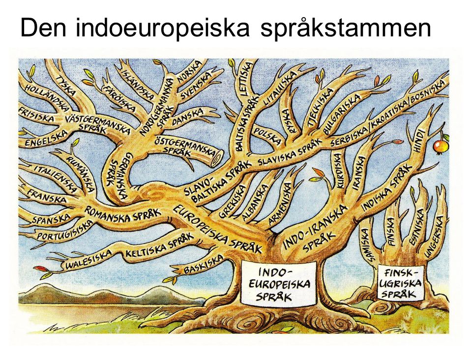 Den indoeuropeiska språkstammen