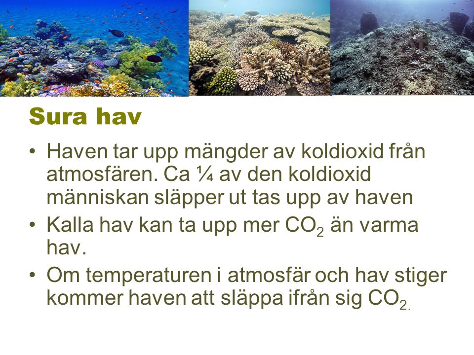 Sura hav Haven tar upp mängder av koldioxid från atmosfären. Ca ¼ av den koldioxid människan släpper ut tas upp av haven.