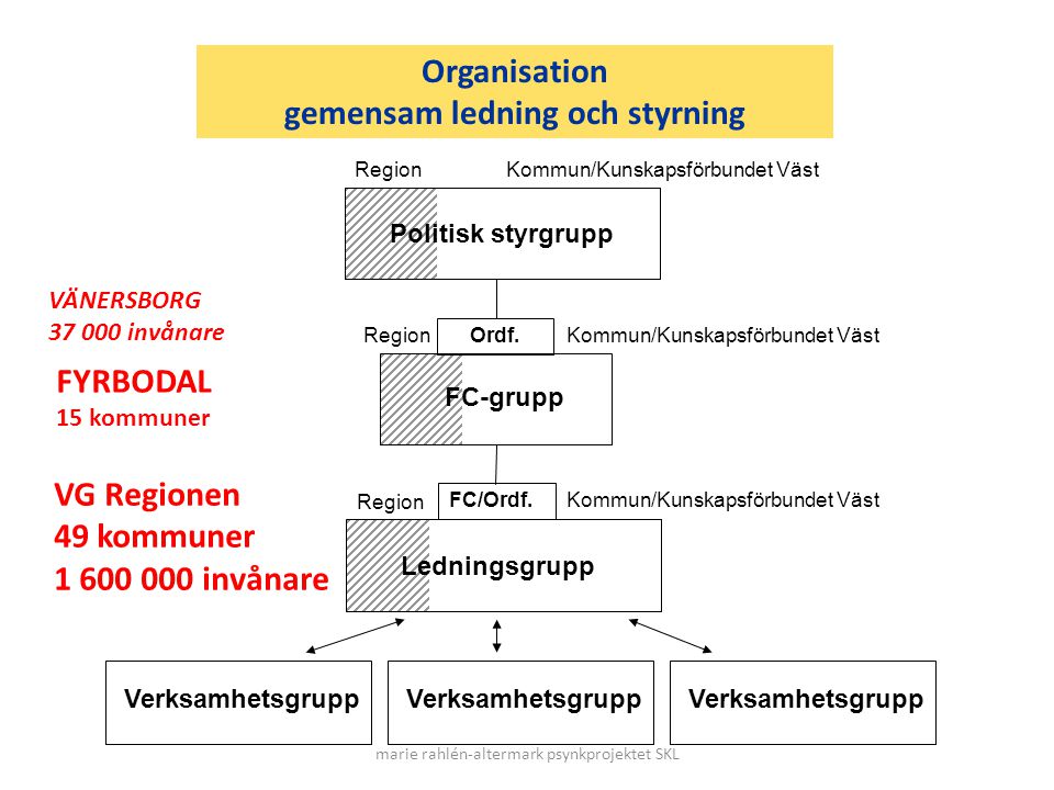 Organisation gemensam ledning och styrning