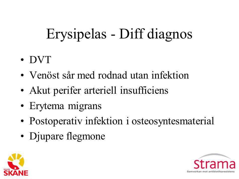 Erysipelas - Diff diagnos