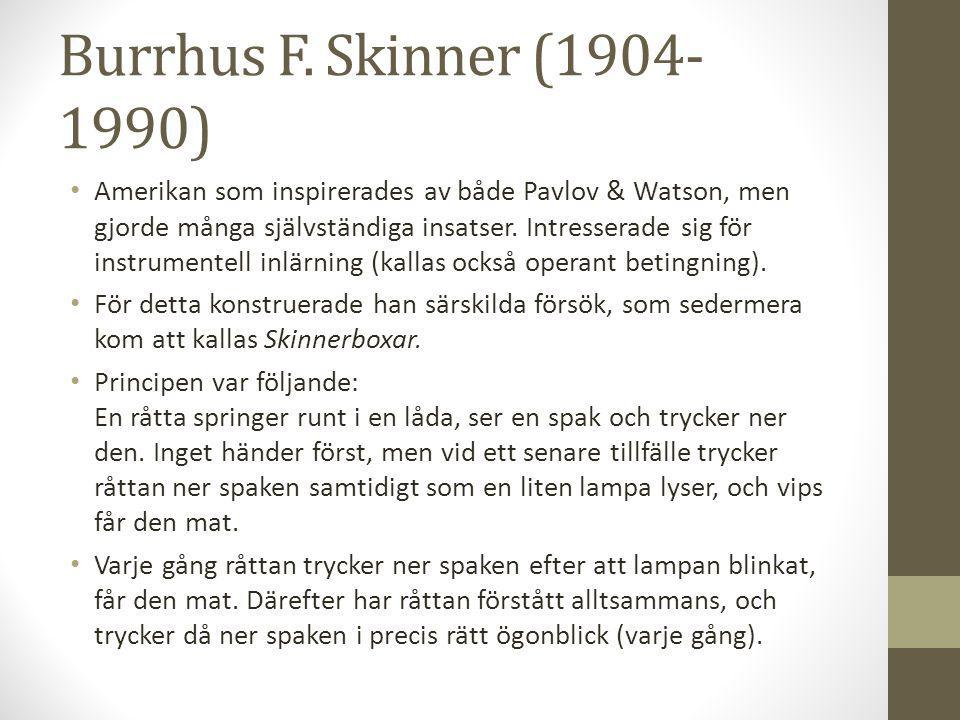 Burrhus F. Skinner ( )