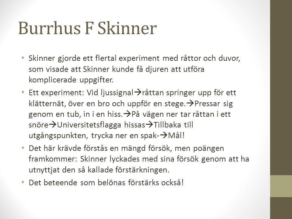 Burrhus F Skinner