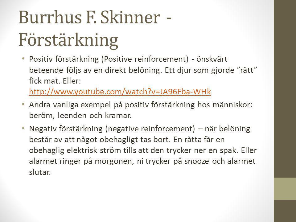 Burrhus F. Skinner - Förstärkning