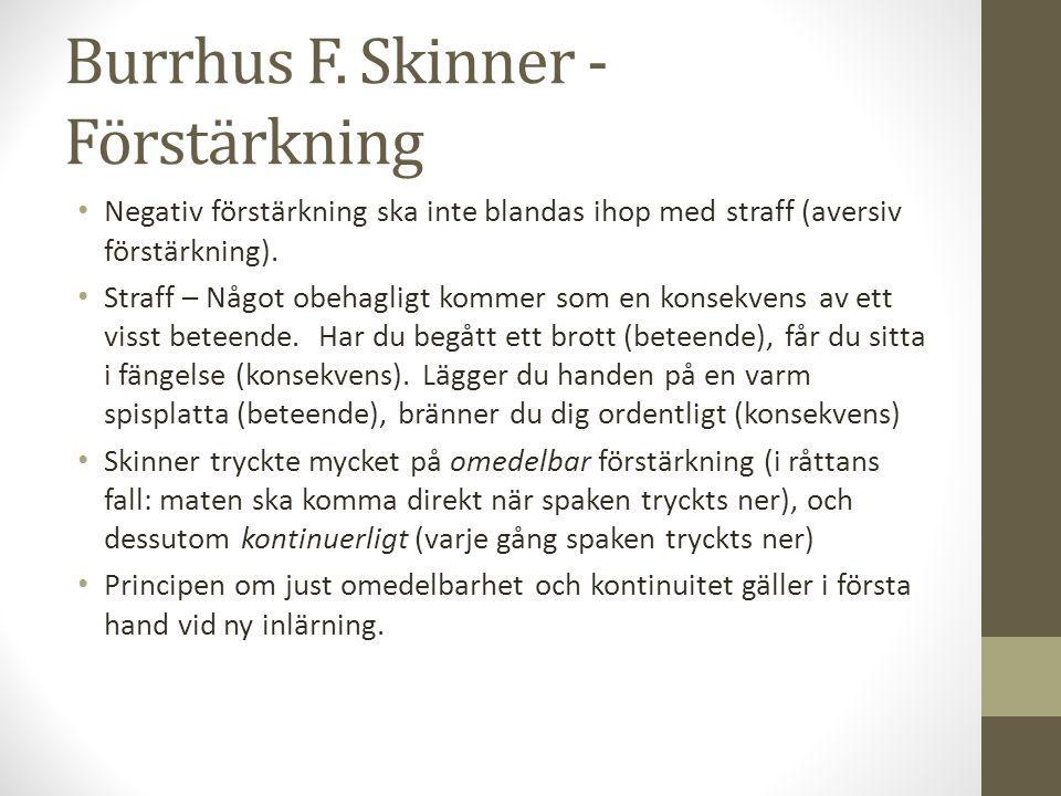 Burrhus F. Skinner - Förstärkning