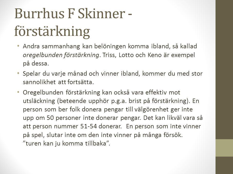 Burrhus F Skinner - förstärkning