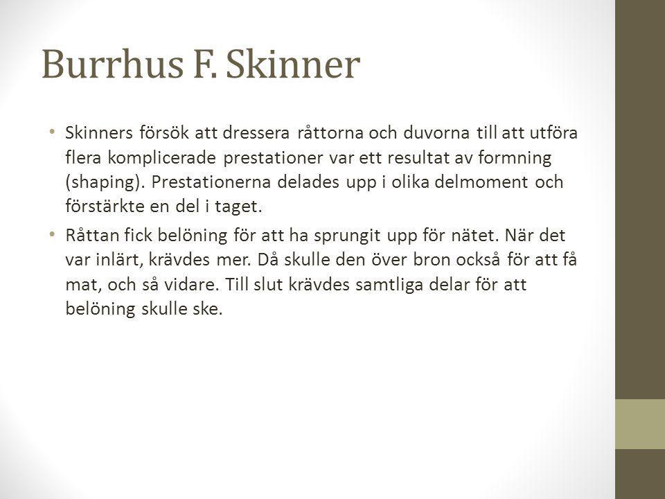 Burrhus F. Skinner