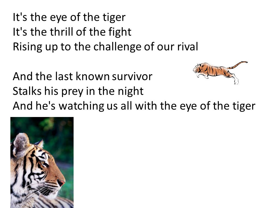It s the eye of the tiger It s the thrill of the fight. Rising up to the challenge of our rival. And the last known survivor.