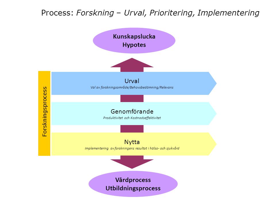 Process: Forskning – Urval, Prioritering, Implementering