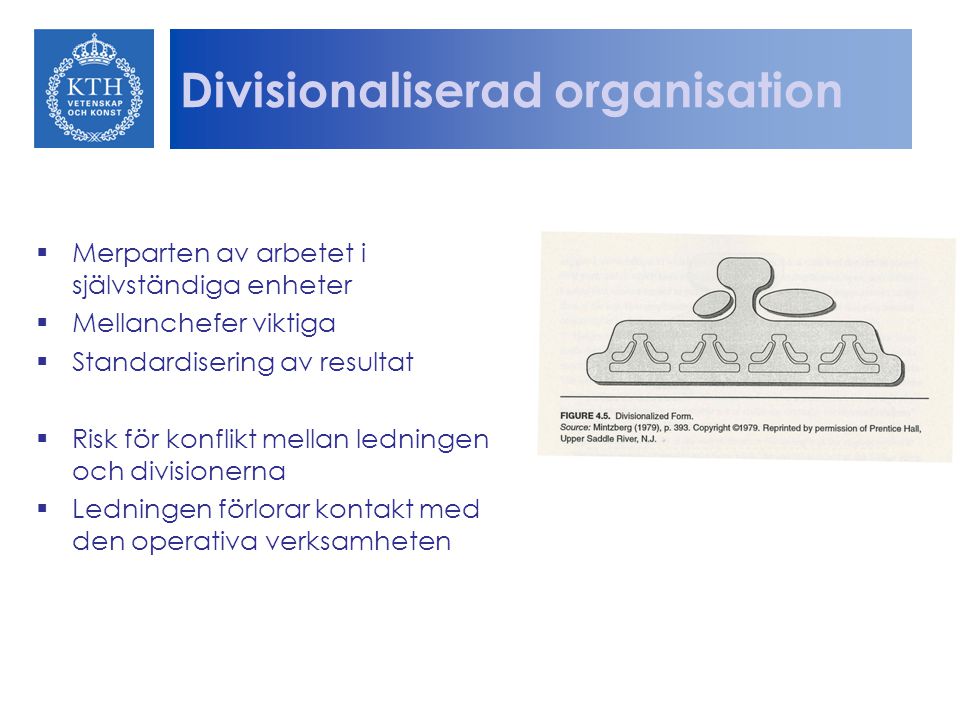 Divisionaliserad organisation