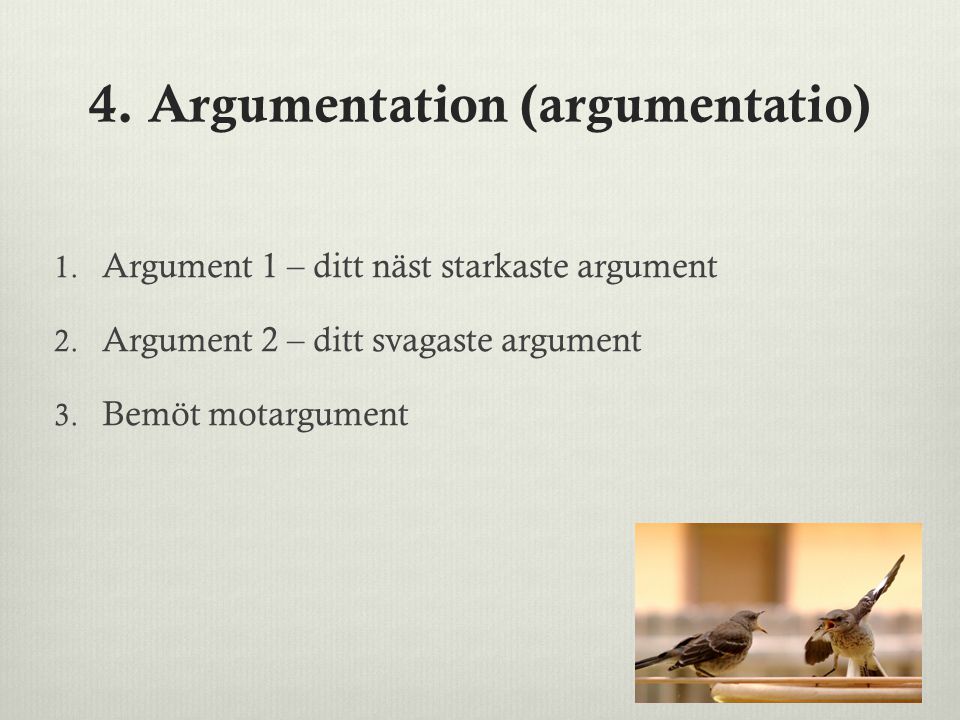 4. Argumentation (argumentatio)