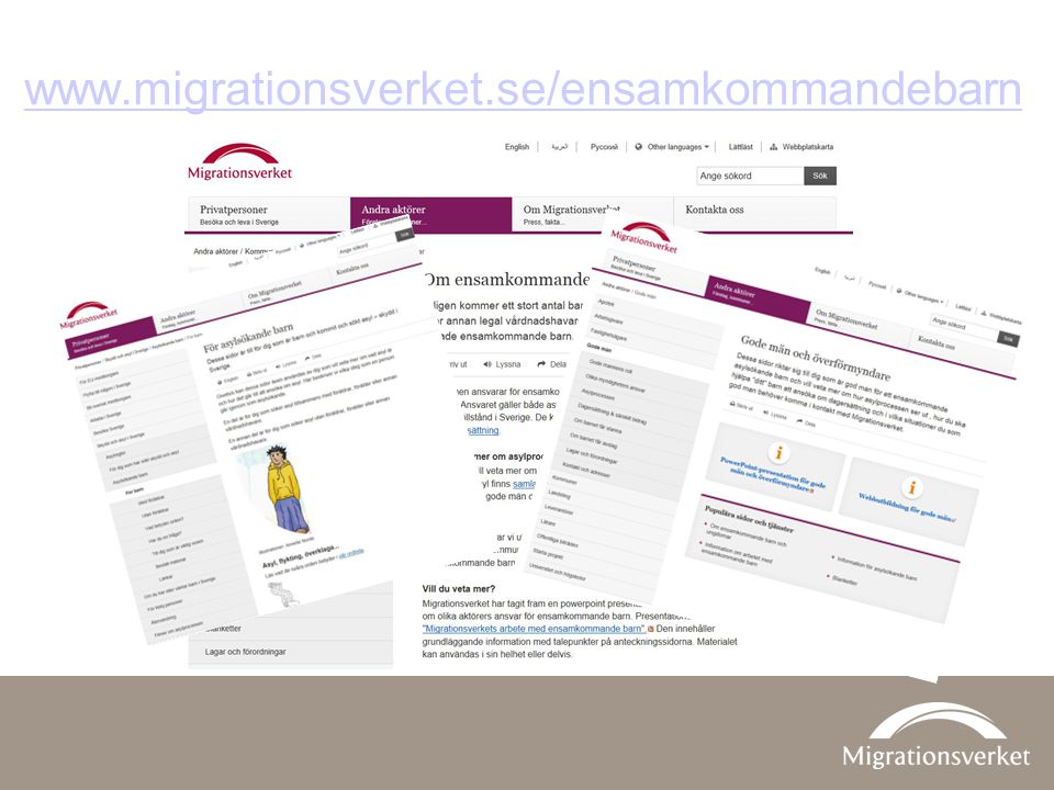 På Migrationsverkets webbplats,   finns mycket information.