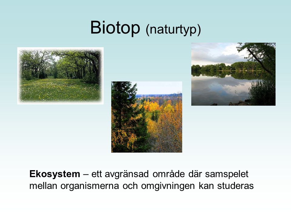 Biotop (naturtyp) Ekosystem – ett avgränsad område där samspelet mellan organismerna och omgivningen kan studeras.