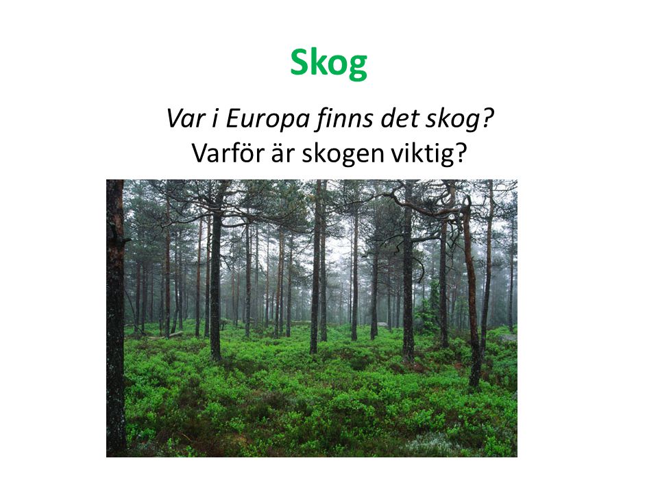 Var i Europa finns det skog Varför är skogen viktig