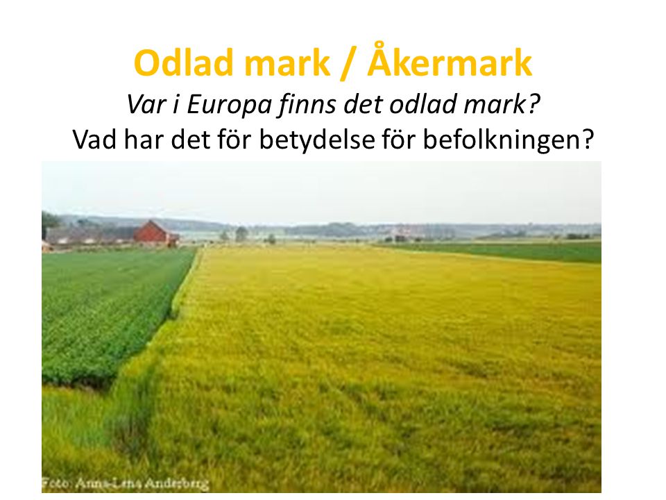 Odlad mark / Åkermark Var i Europa finns det odlad mark.
