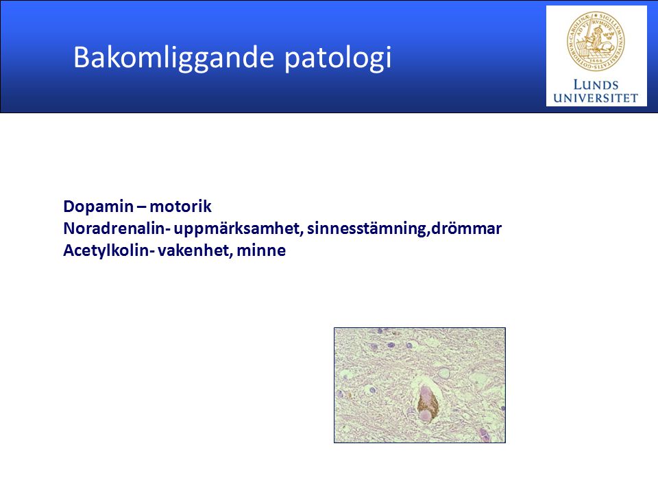 Bakomliggande patologi