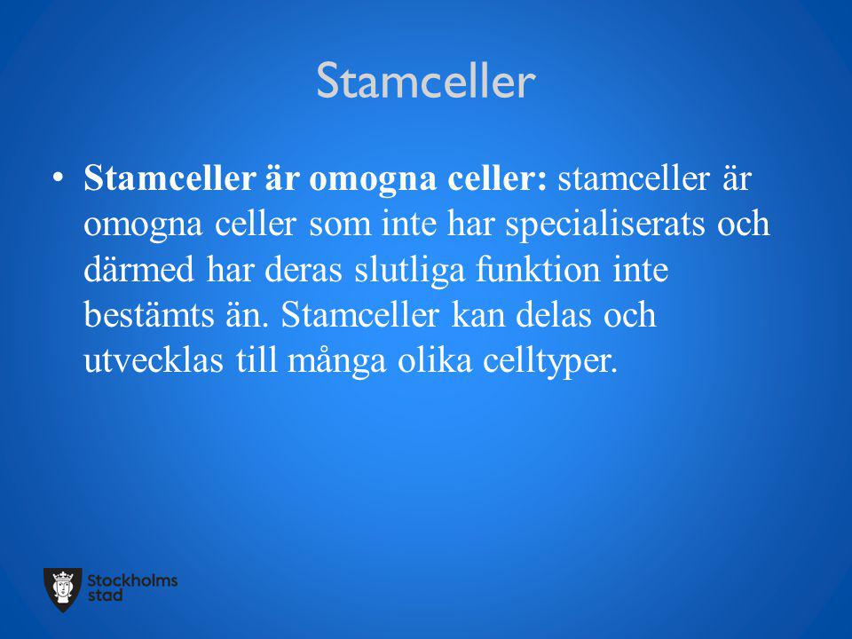 Stamceller