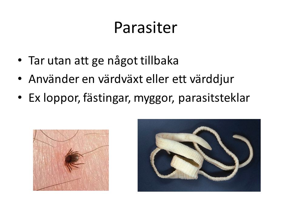 Parasiter Tar utan att ge något tillbaka
