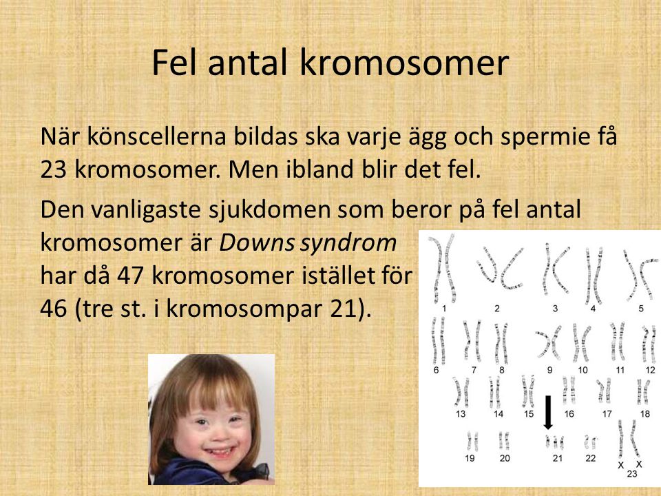 Fel antal kromosomer