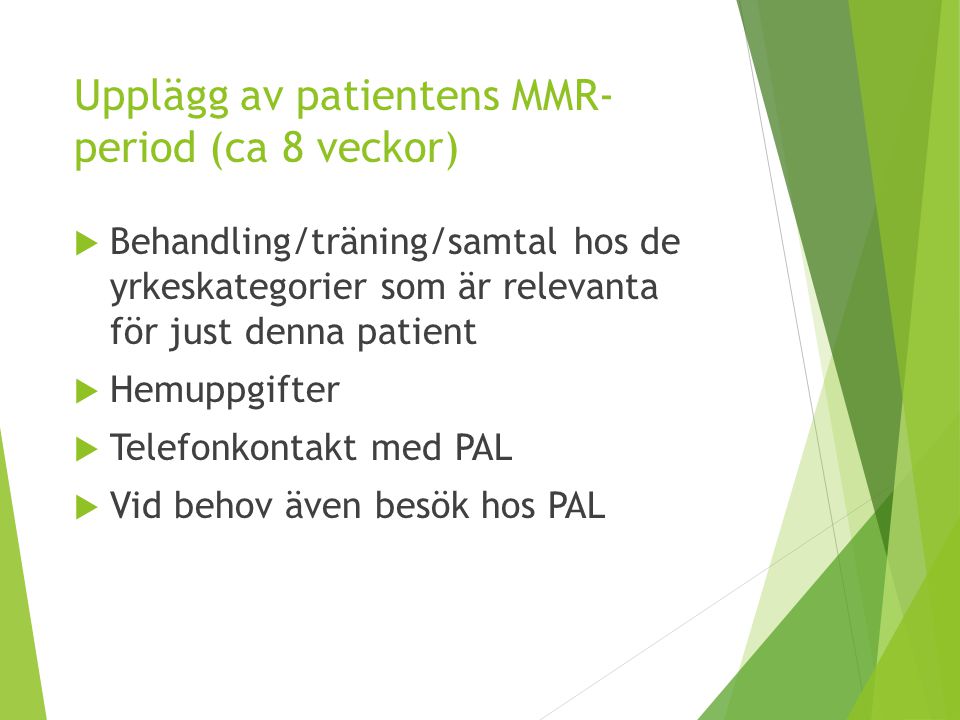 Upplägg av patientens MMR-period (ca 8 veckor)