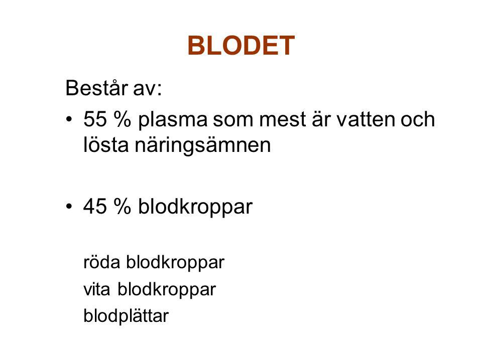 BLODET Består av: 55 % plasma som mest är vatten och lösta näringsämnen. 45 % blodkroppar. röda blodkroppar.