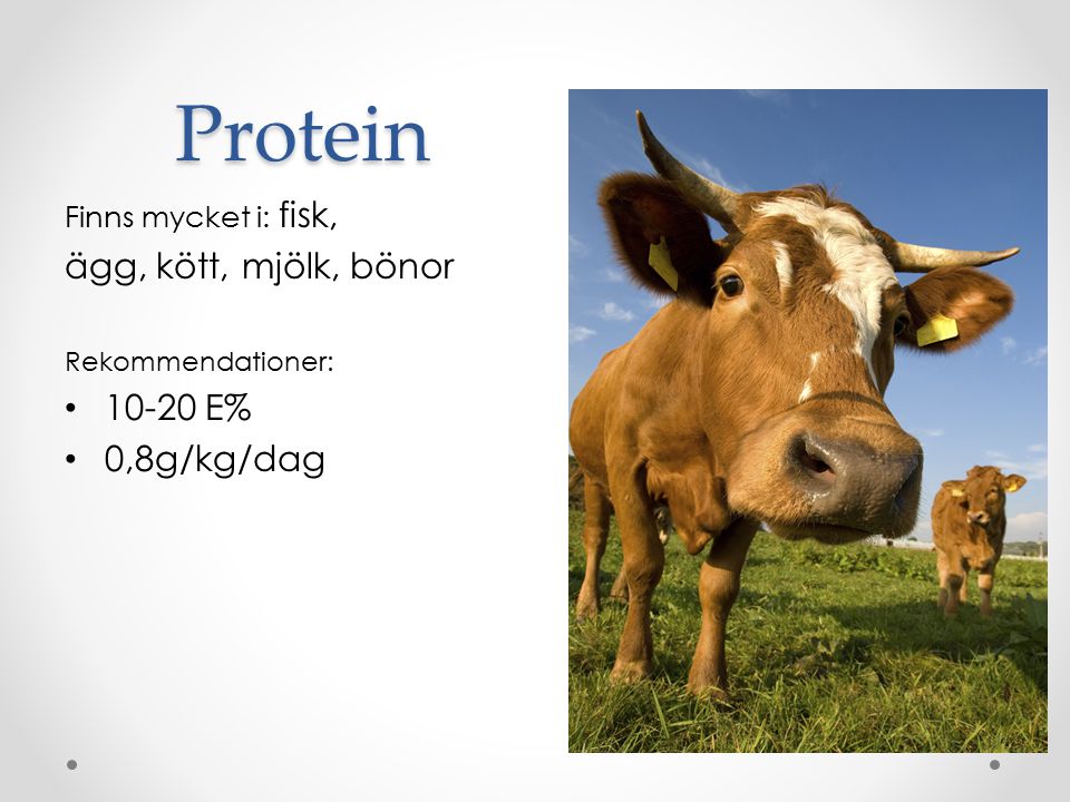 Protein ägg, kött, mjölk, bönor E% 0,8g/kg/dag