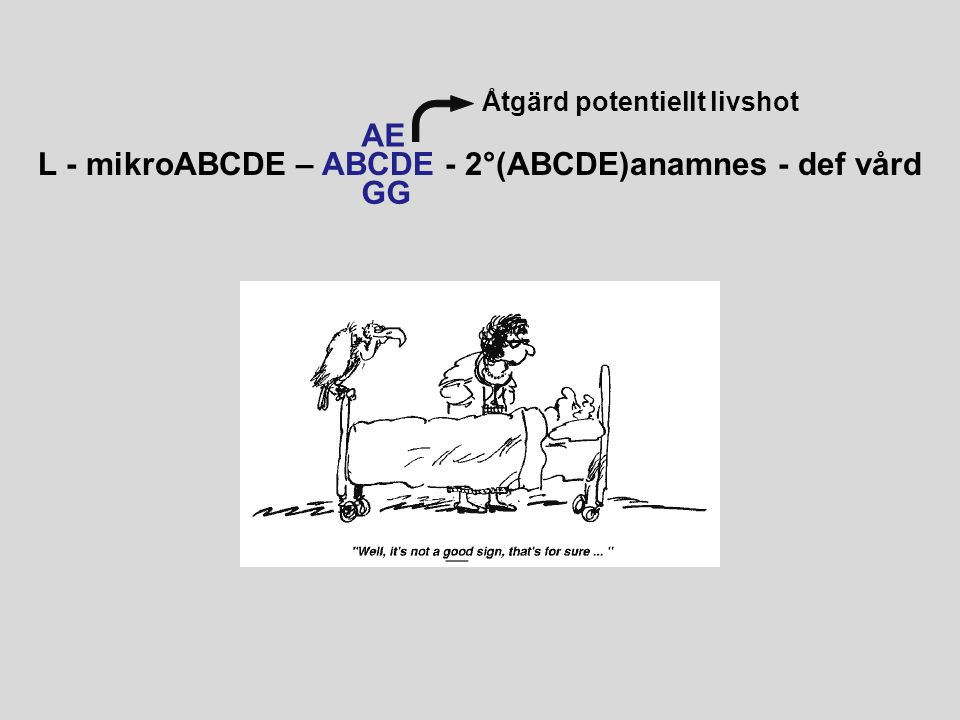 L - mikroABCDE – ABCDE - 2°(ABCDE)anamnes - def vård