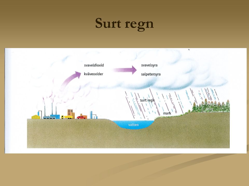Surt regn Kol och olja innehåller svavel > svaveldioxid vid förbränning.