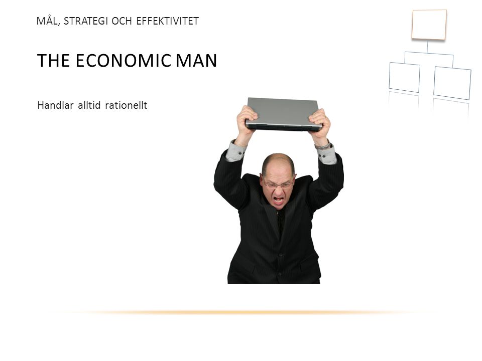 The economic man MÅL, STRATEGI OCH EFFEKTIVITET