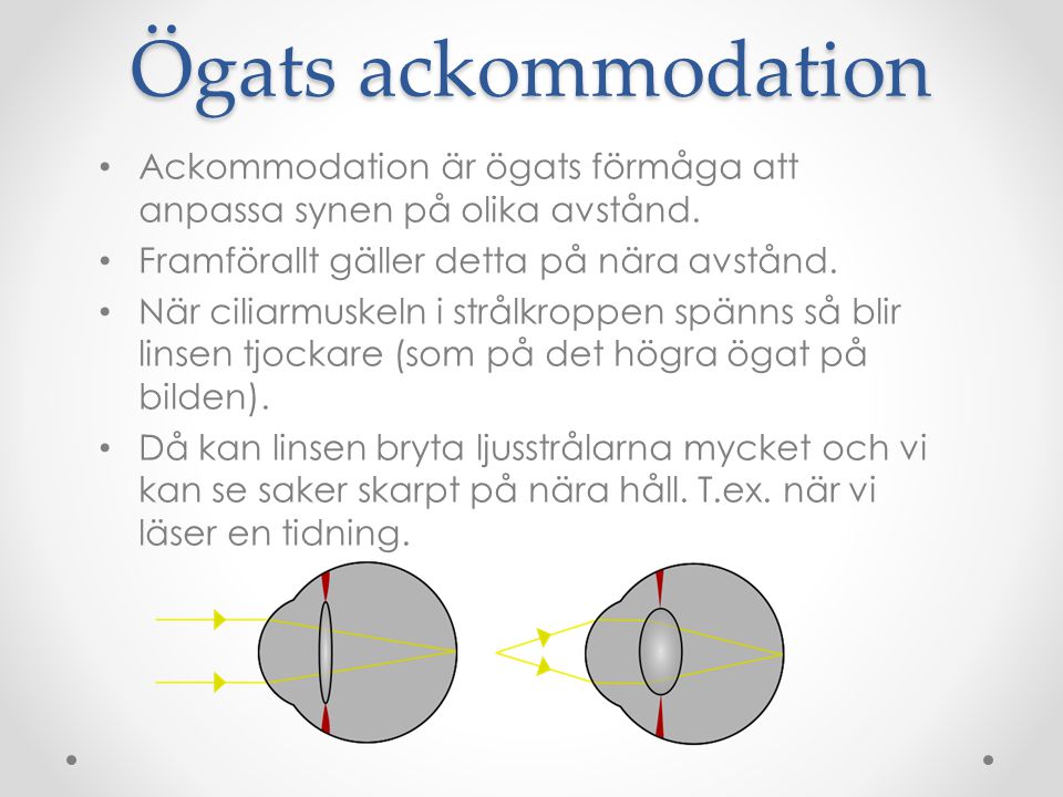 Ögats ackommodation Ackommodation är ögats förmåga att anpassa synen på olika avstånd. Framförallt gäller detta på nära avstånd.