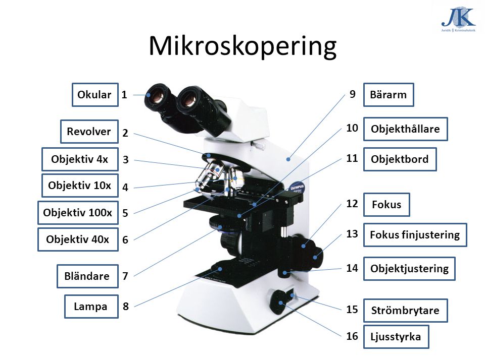 Mikroskopering Okular 1 9 Bärarm Revolver 10 Objekthållare 2