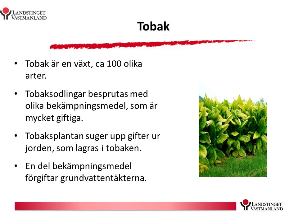 Tobak Tobak är en växt, ca 100 olika arter.