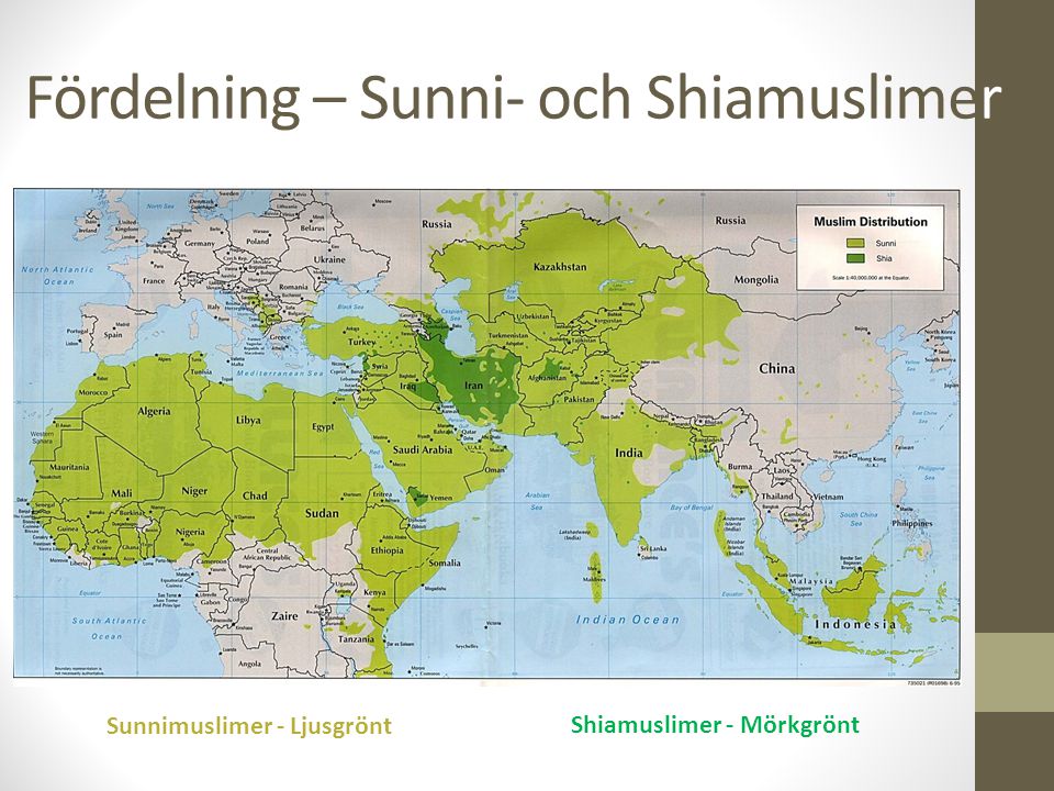Fördelning – Sunni- och Shiamuslimer