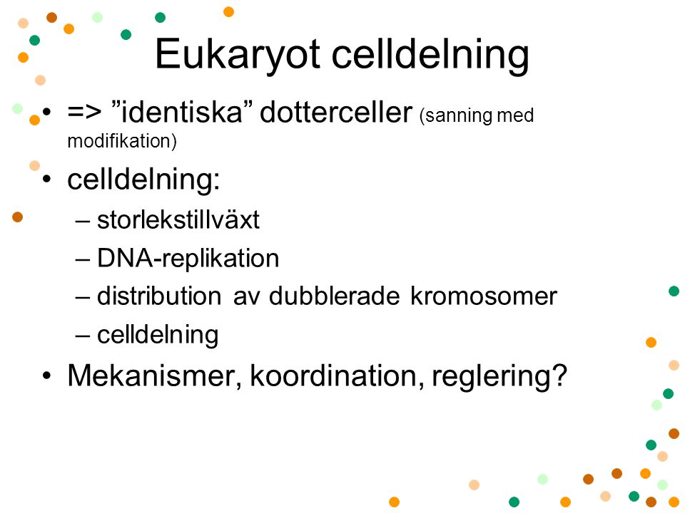 Eukaryot celldelning => identiska dotterceller (sanning med modifikation) celldelning: storlekstillväxt.