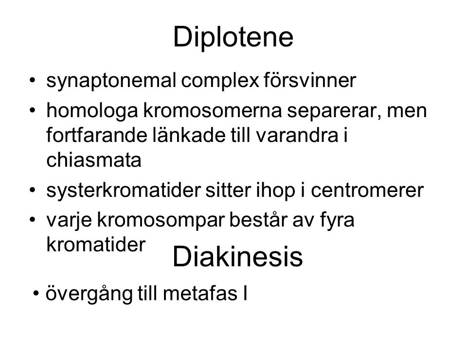 Diplotene Diakinesis synaptonemal complex försvinner