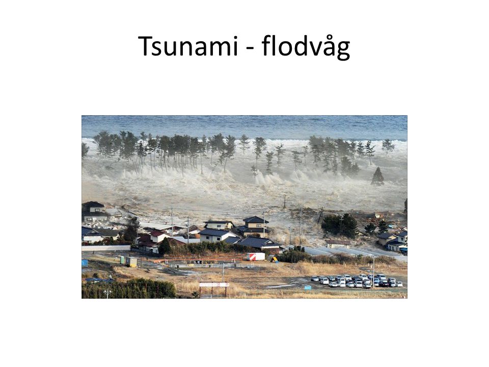 Tsunami - flodvåg