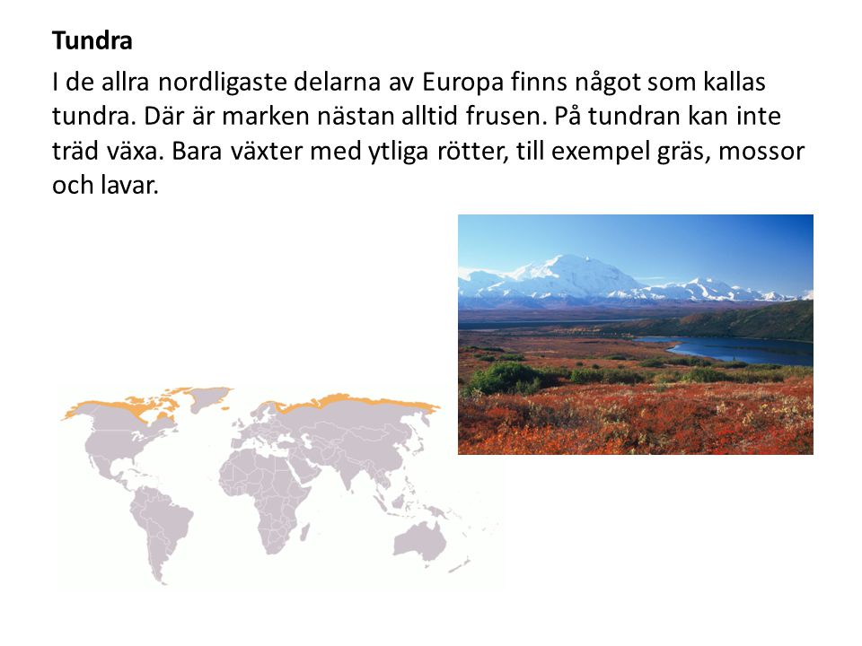 Tundra I de allra nordligaste delarna av Europa finns något som kallas tundra.
