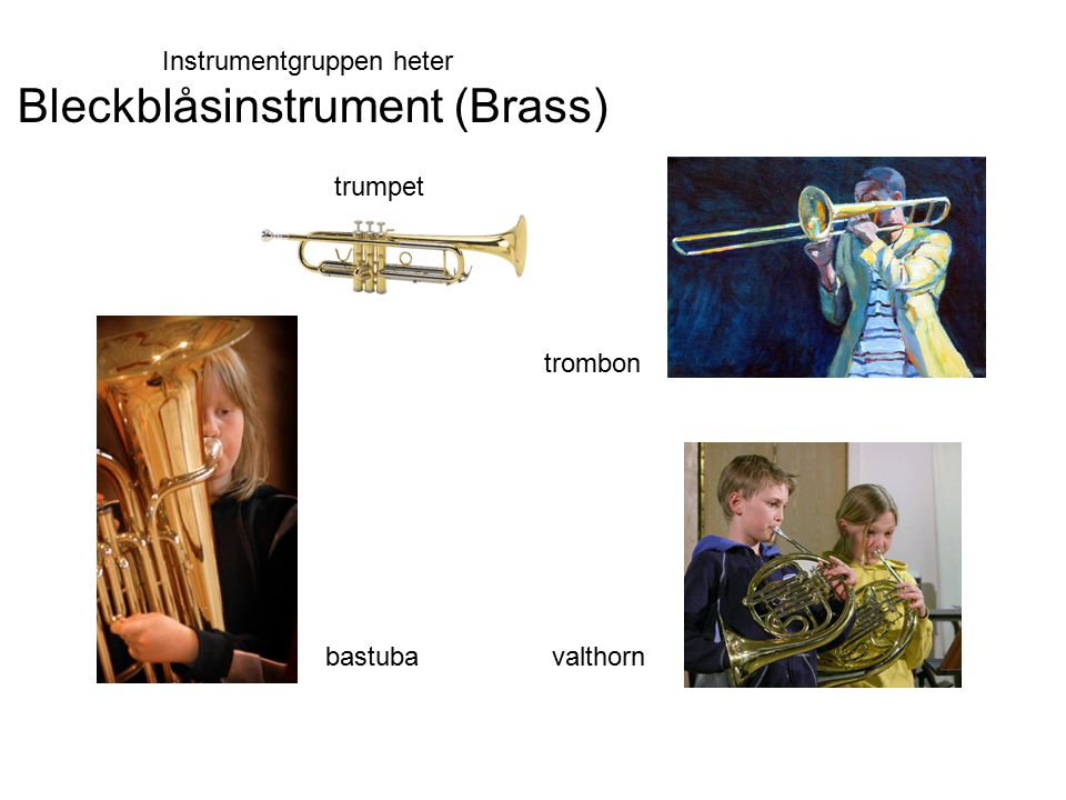Bleckblåsinstrument (Brass)