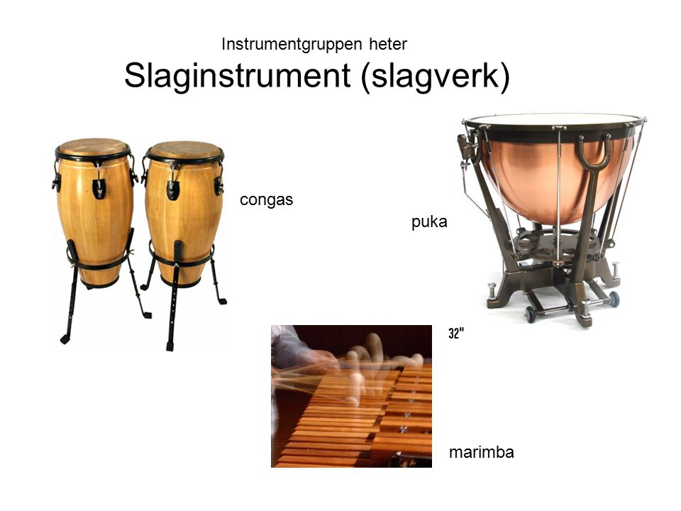Slaginstrument (slagverk)