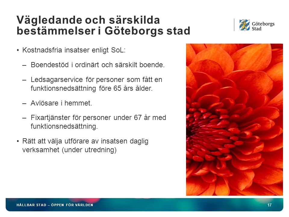 Vägledande och särskilda bestämmelser i Göteborgs stad